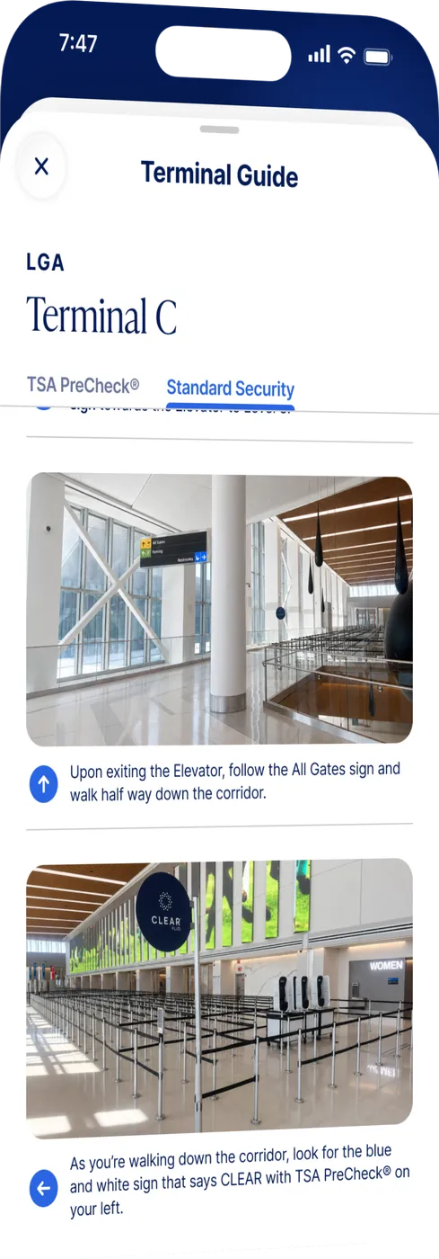 Terminal Guide — Constraints